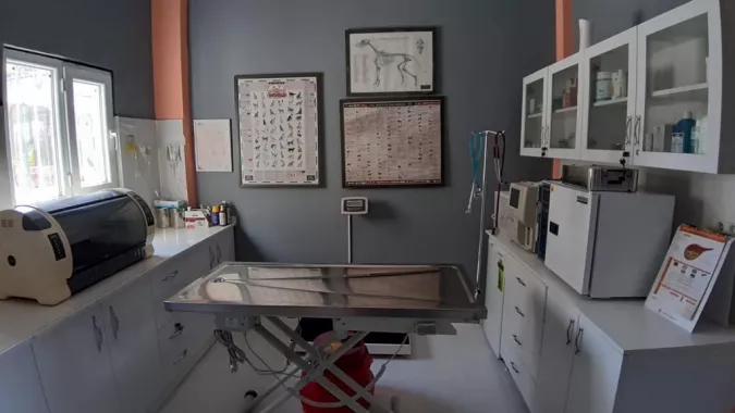 Ветеринарная клиника "Lykia Veteriner Kliniği"