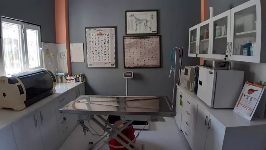 Ветеринарная клиника Lykia Veteriner Kliniği в Серик: Больница, Животные,