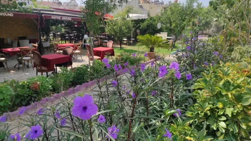 Кофейня NATIVE GROUND BISTRO & CAFE в Серик