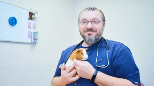 Ветеринарная клиника Главное Хвост  в  Минске