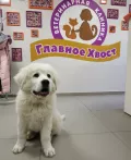 Миниатюра 9