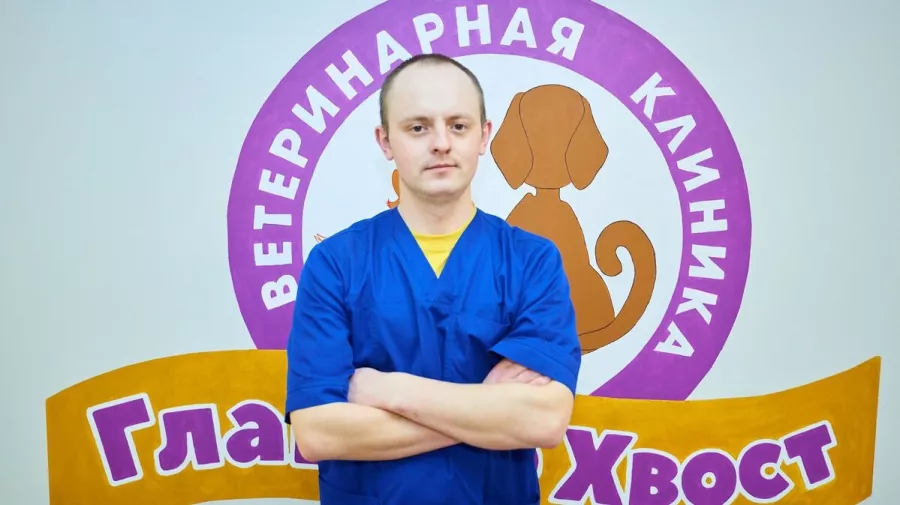 Ветеринарная клиника Главное Хвост в Минске: Лечение животных, Клиника для животных, Медицинская помощь питомцам, Питомцы, Медицинские консультации, Ветеринарные услуги,
