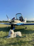 Миниатюра 17