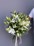 Миниатюра 8