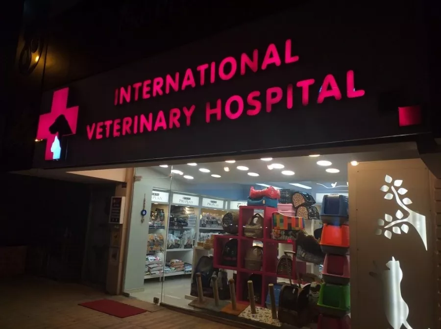 Ветеринарная клиника International Veterinary Clinic в Анталии: Ветеринарная клиника, Любимцы, Больница для животных,