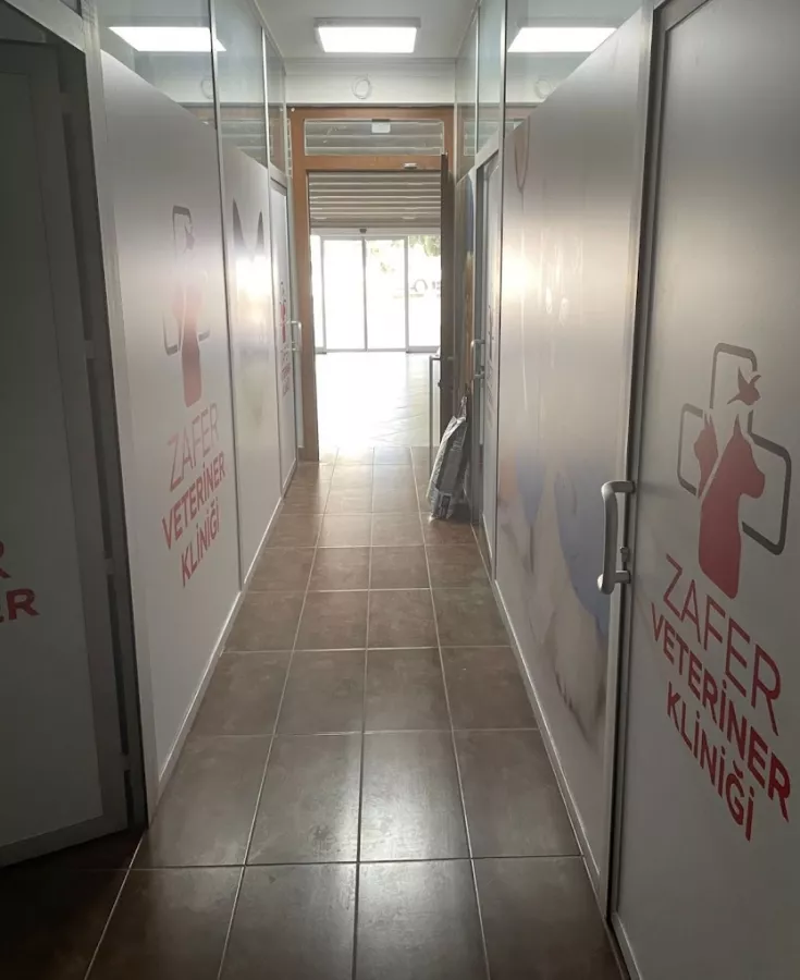 Ветеринарная клиника Zafer Veteriner Klinigi в Анталии: Больница, Животные,