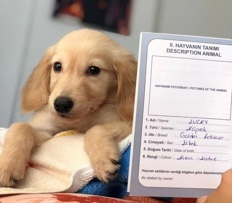 Ветеринарная клиника Kundu Veteriner Kliniği  в  Анталии