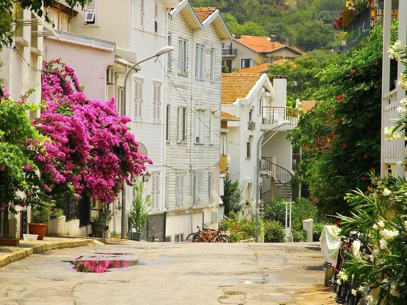 Принцевы острова (Adalar) в Стамбуле: Архипелаг , Принцевы острова , Пляж ,