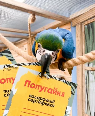 Контактный зоопарк "Попугайня"
