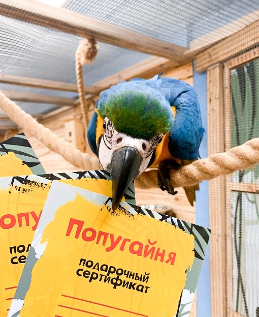 Большое фото 10