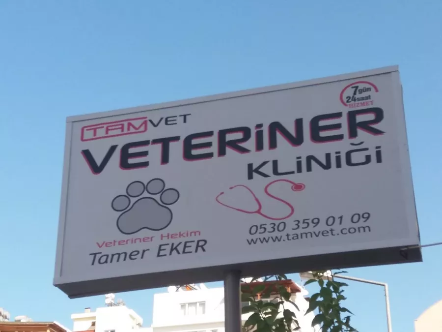 Ветеринарная клиника Tamvet Veteriner Kliniği в Анталии: Больница, Животные,