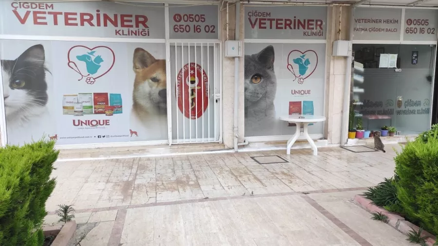 Ветеринарная клиника ÇİĞDEM VETERİNER KLİNİĞİ в Анталии: Ветеринар, Больница, Животные,