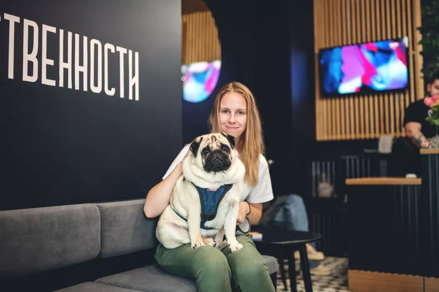Услуги по уходу за животными Блэкгрумер.рф в Санкт-Петербурге: Стрижка, Уход, Питомцы,
