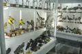 Миниатюра 8