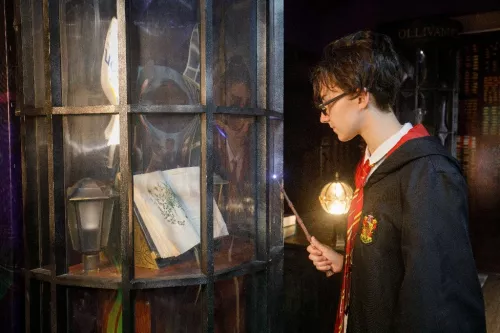 Интерактивная выставка Дверь в Хогвартс  в  Санкт-Петербурге