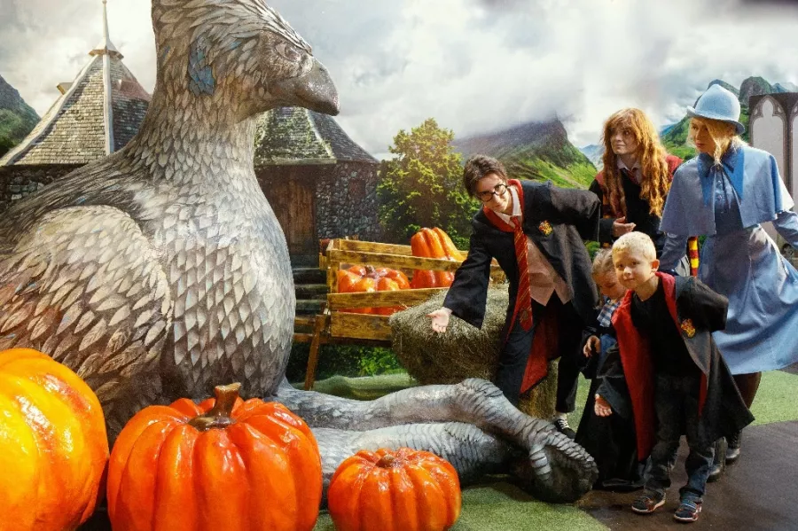 Интерактивная выставка Дверь в Хогвартс в Санкт-Петербурге: Отдых,