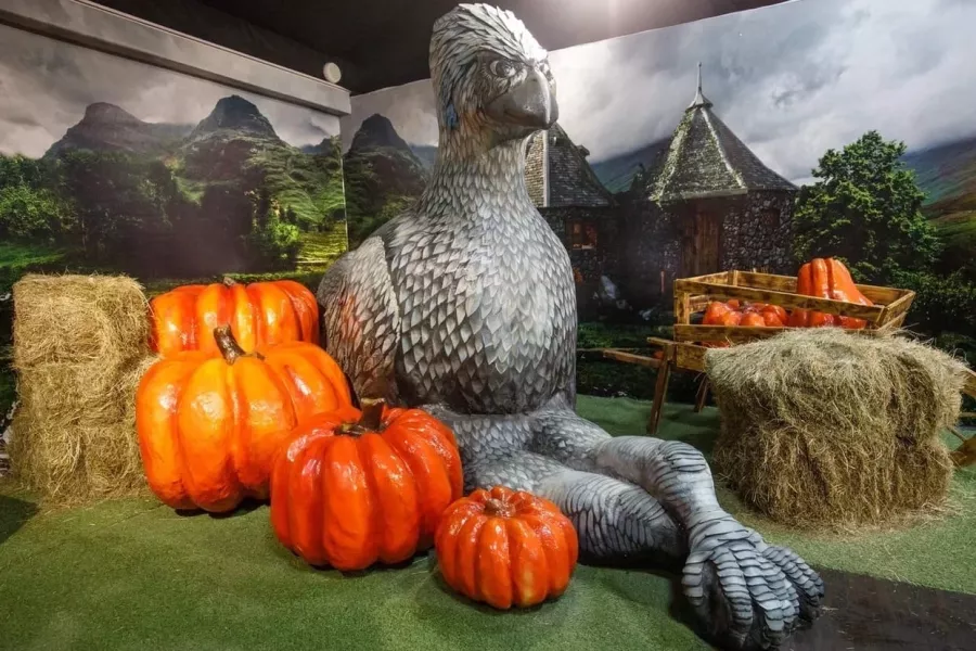 Интерактивная выставка Дверь в Хогвартс в Санкт-Петербурге: Отдых,