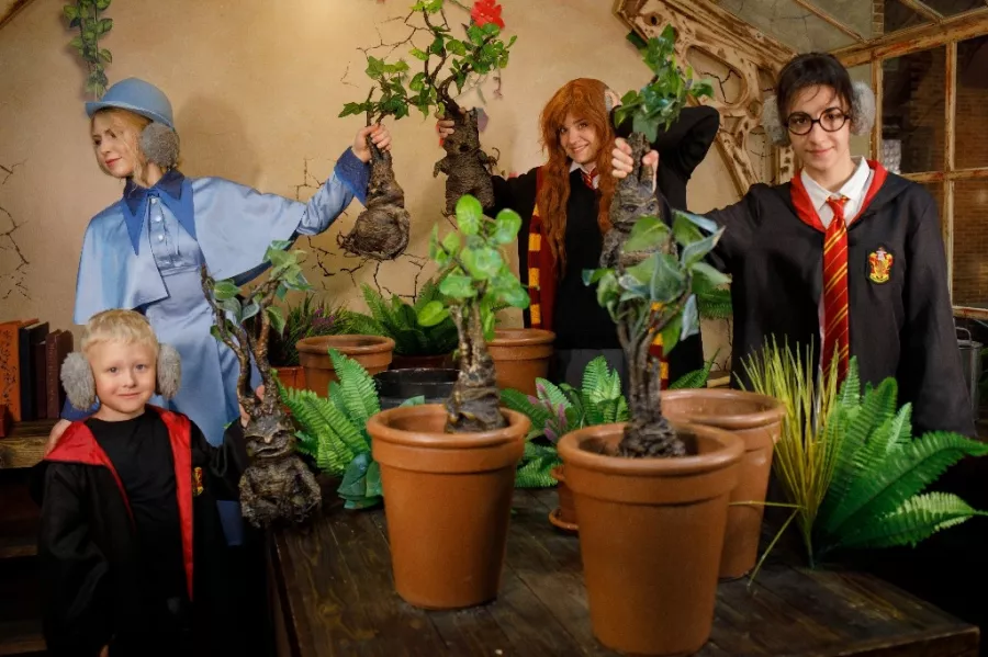 Интерактивная выставка Дверь в Хогвартс в Санкт-Петербурге: Отдых,