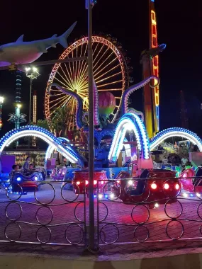 Парк развлечений "Aktur Park"