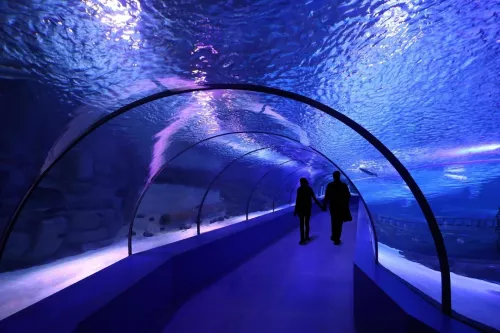 Океанариум Antalya Aquarium  в  Анталии