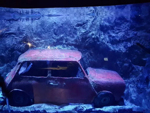 Океанариум "Antalya Aquarium"