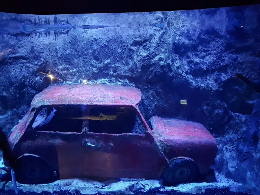 Океанариум Antalya Aquarium в Анталии: Океанариум, Аквариум, Вода,