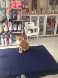 Миниатюра 6