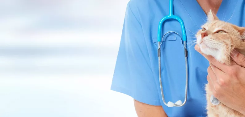 Ветеринарная клиника "Pozitif Veteriner Kliniği"