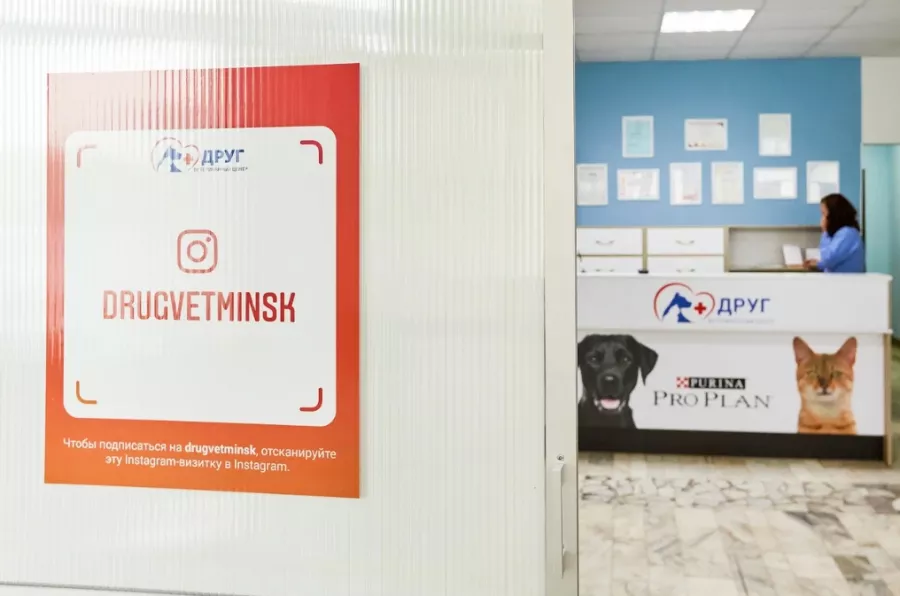 Ветеринарная клиника Друг в Минске: Ветеринарная клиника, Питомцы, Ветеринарные услуги, Любимцы, Ветеринары, Медицинская помощь питомцам, Клиника для животных, Лечение животных,