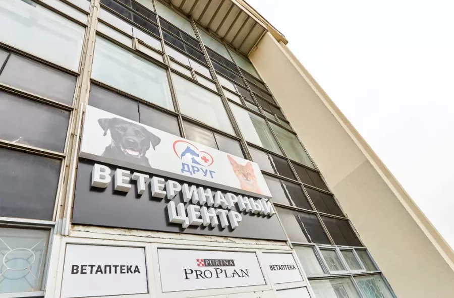 Ветеринарная клиника Друг в Минске: Ветеринарная клиника, Питомцы, Ветеринарные услуги, Любимцы, Ветеринары, Медицинская помощь питомцам, Клиника для животных, Лечение животных,