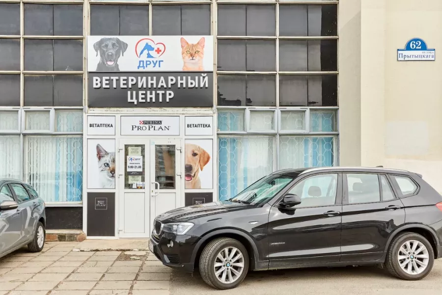 Ветеринарная клиника Друг в Минске: Ветеринарная клиника, Питомцы, Ветеринарные услуги, Любимцы, Ветеринары, Медицинская помощь питомцам, Клиника для животных, Лечение животных,
