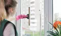 Миниатюра 10