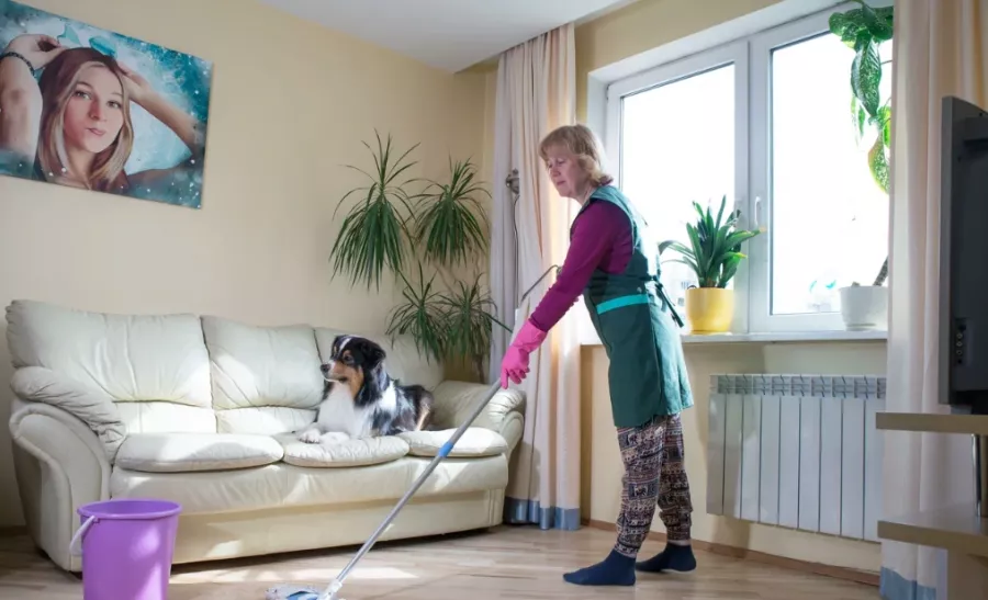 Клининговая компания CleanUP в Минске: Клининговые услуги, Уборка офисов, Клининг, Клининговая компания, Уборка после ремонта, Уборка квартир, Уборка торговых помещений, Мойка окон, Химчитска мягкой мебели,