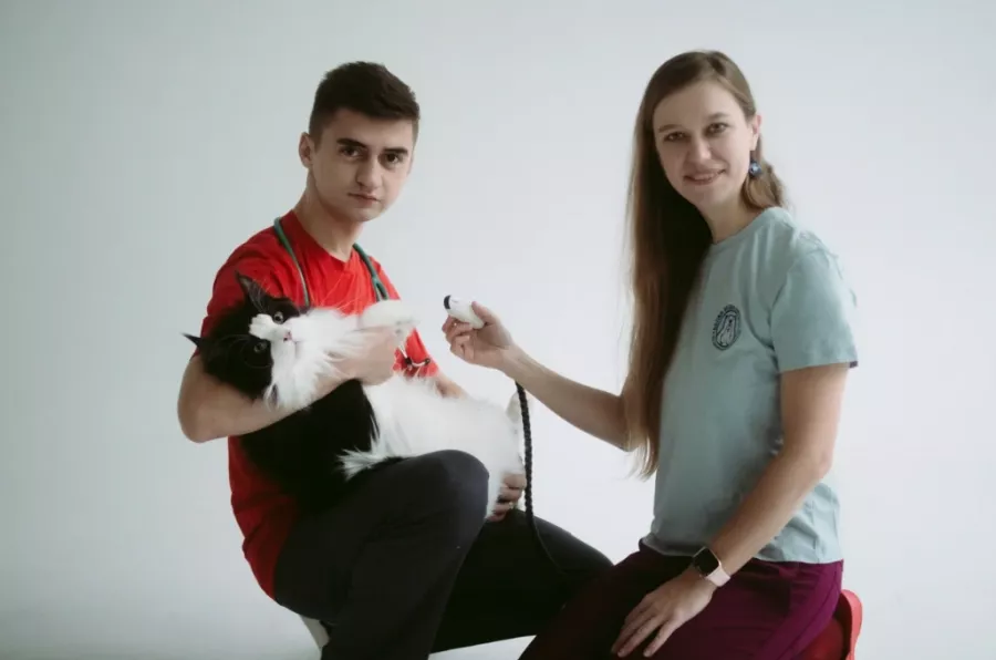Ветеринарная клиника Белая медведица в Минске: Ветеринарная клиника, Лечение питомцев, Медицинская помощь питомцам, Ветеринары, Ветеринарные услуги, Питомцы, Любимцы,