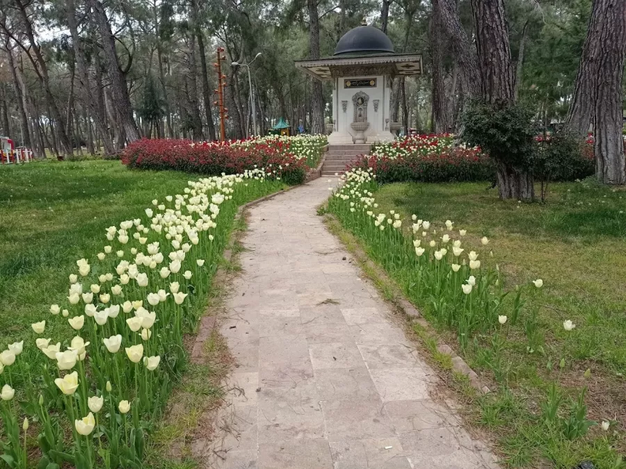 Государственный лесной заповедник Kepez Municipality Urban Forest в Анталии: