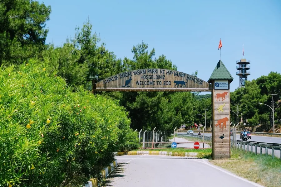 Зоопарк Antalya Zoo в Анталии: Зоопарк, Животные,