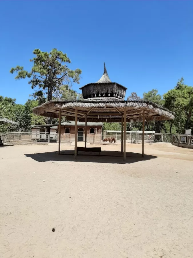 Зоопарк Antalya Zoo в Анталии: Зоопарк, Животные,