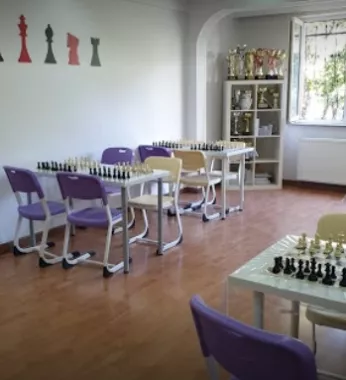 Dynamic Chess Club