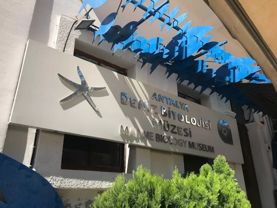 Музей Antalya Deniz Biyolojisi Müzesi в Анталии: Море, Музей, Отдых,