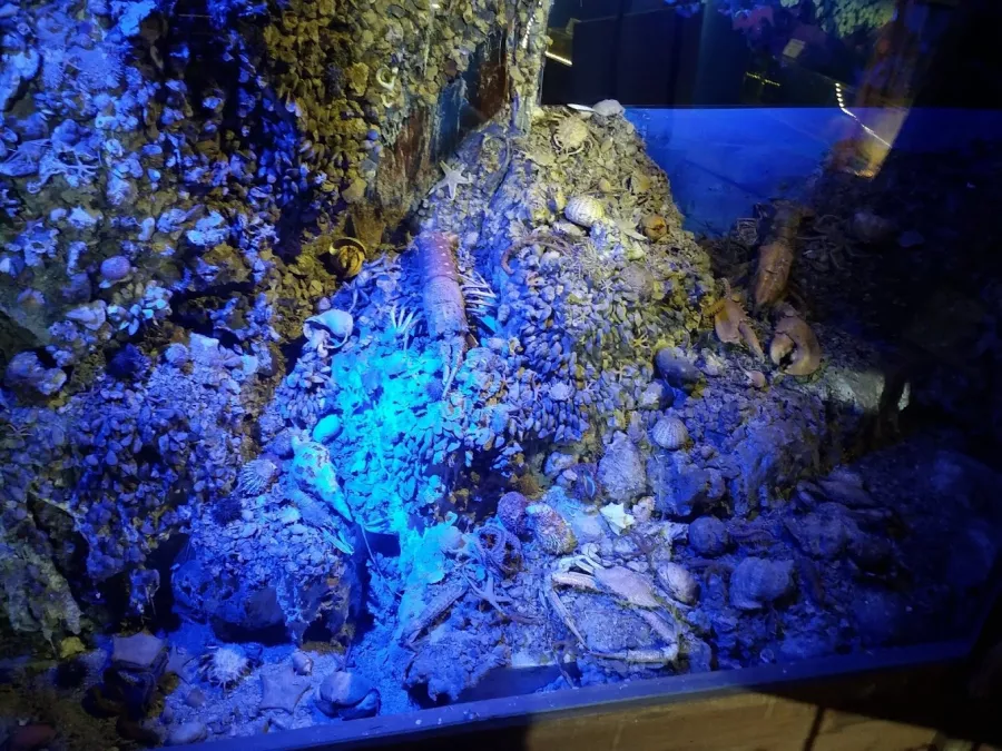 Музей Antalya Deniz Biyolojisi Müzesi в Анталии: Море, Музей, Отдых,