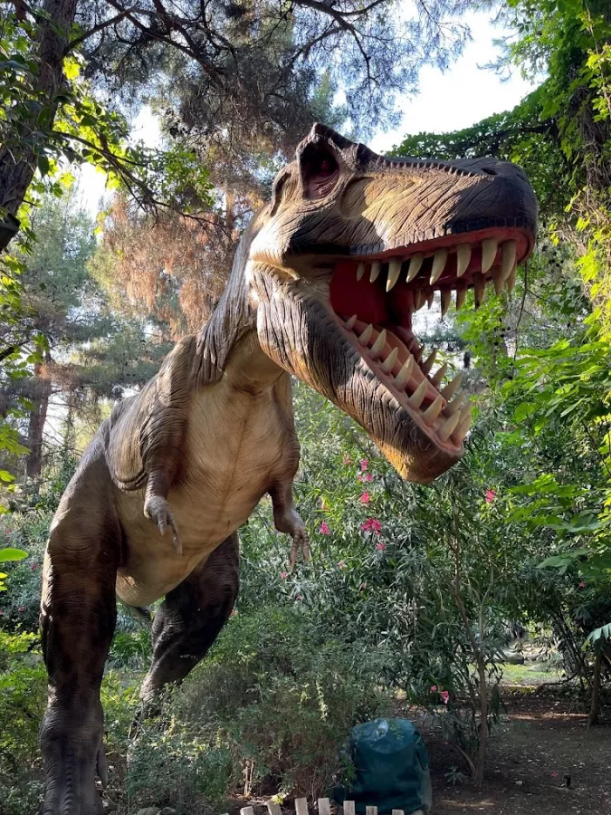 Тематический парк Dinopark Antalya в Анталии: Парк, Бассейн, Активный Отдых, Игры,