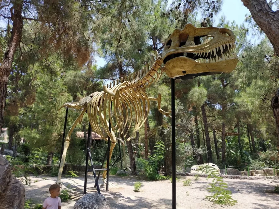 Тематический парк Dinopark Antalya в Анталии: Парк, Бассейн, Активный Отдых, Игры,