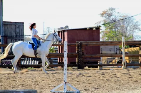 Фото 1