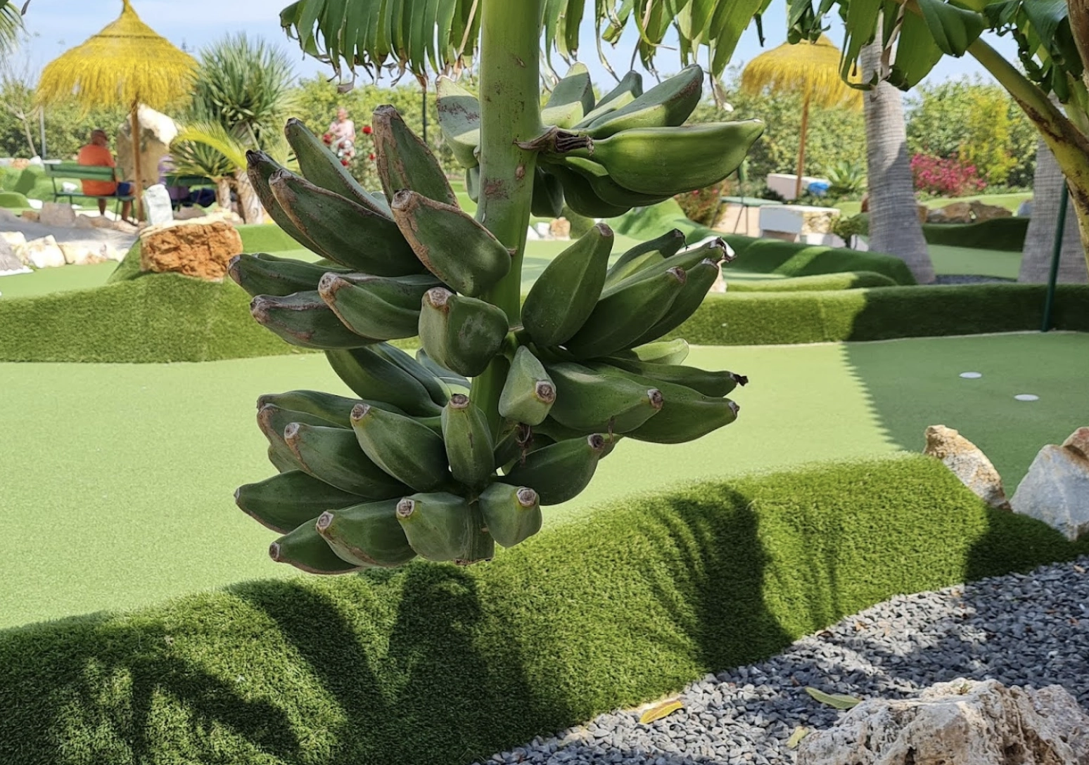 Плащадка для игры в мини гольф "Greenlands Sport Club"