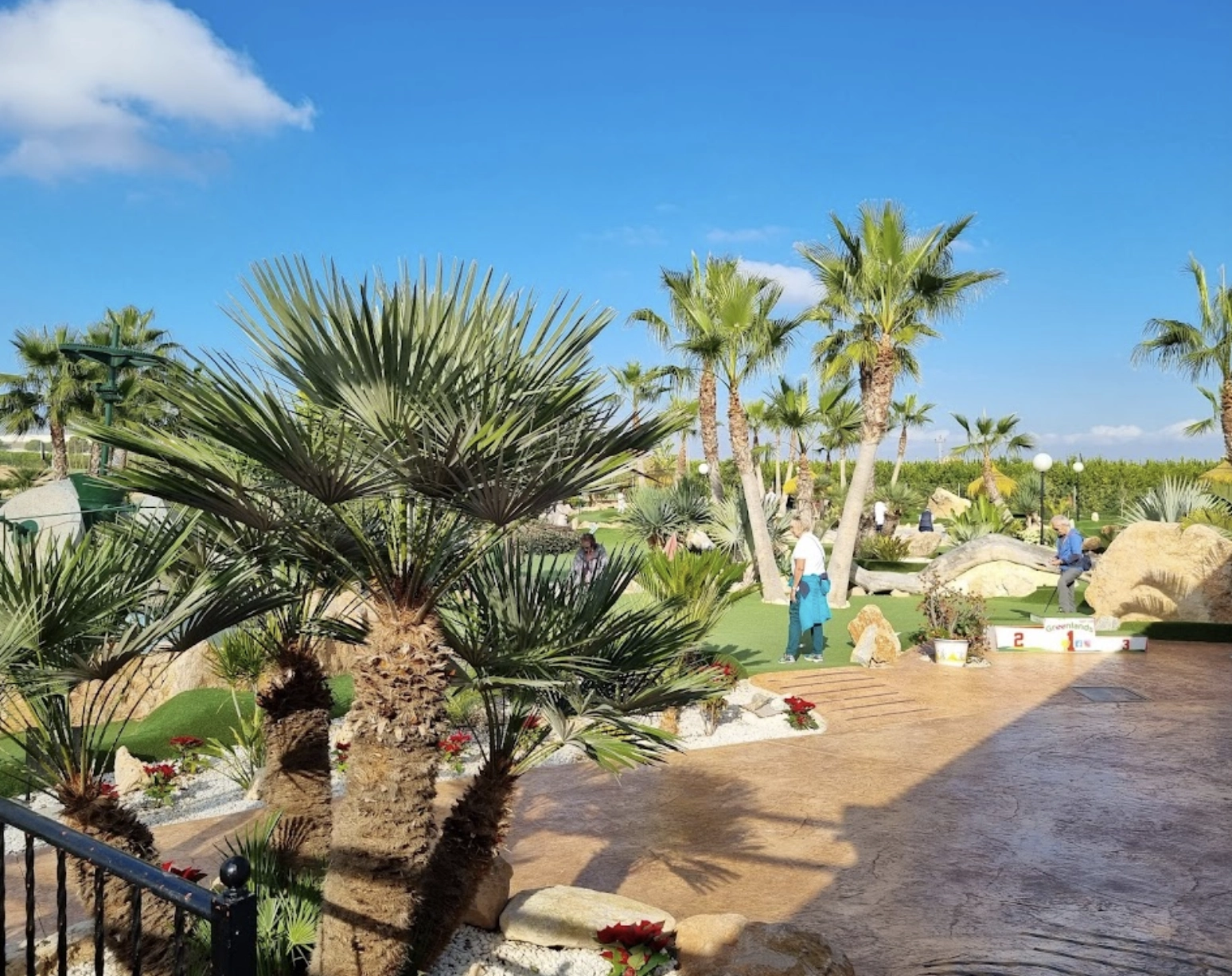 Плащадка для игры в мини гольф "Greenlands Sport Club"