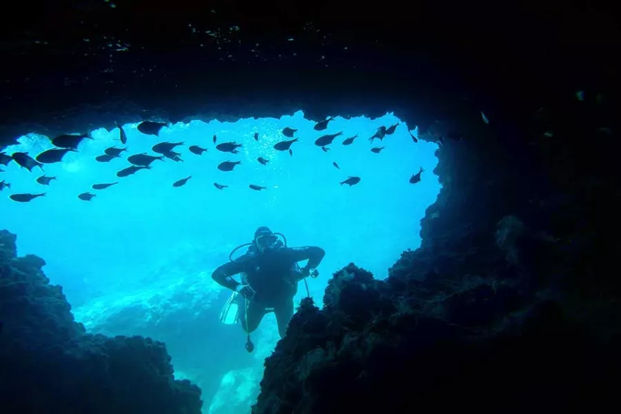 Дайвинг-центр Stingray Diving в Анталии: Дайвинг, Дайвинг-центр, Возле воды, Развиваться,