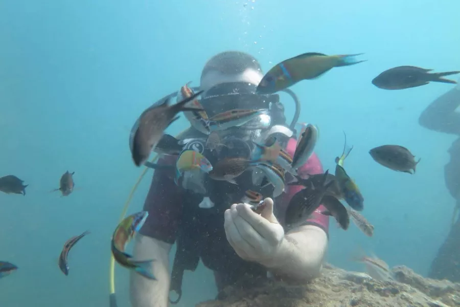 Дайвинг-центр Stingray Diving в Анталии: Дайвинг, Дайвинг-центр, Возле воды, Развиваться,