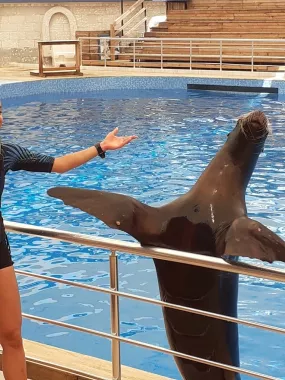 Шоу дельфинов "Aksu Dolphinarium"