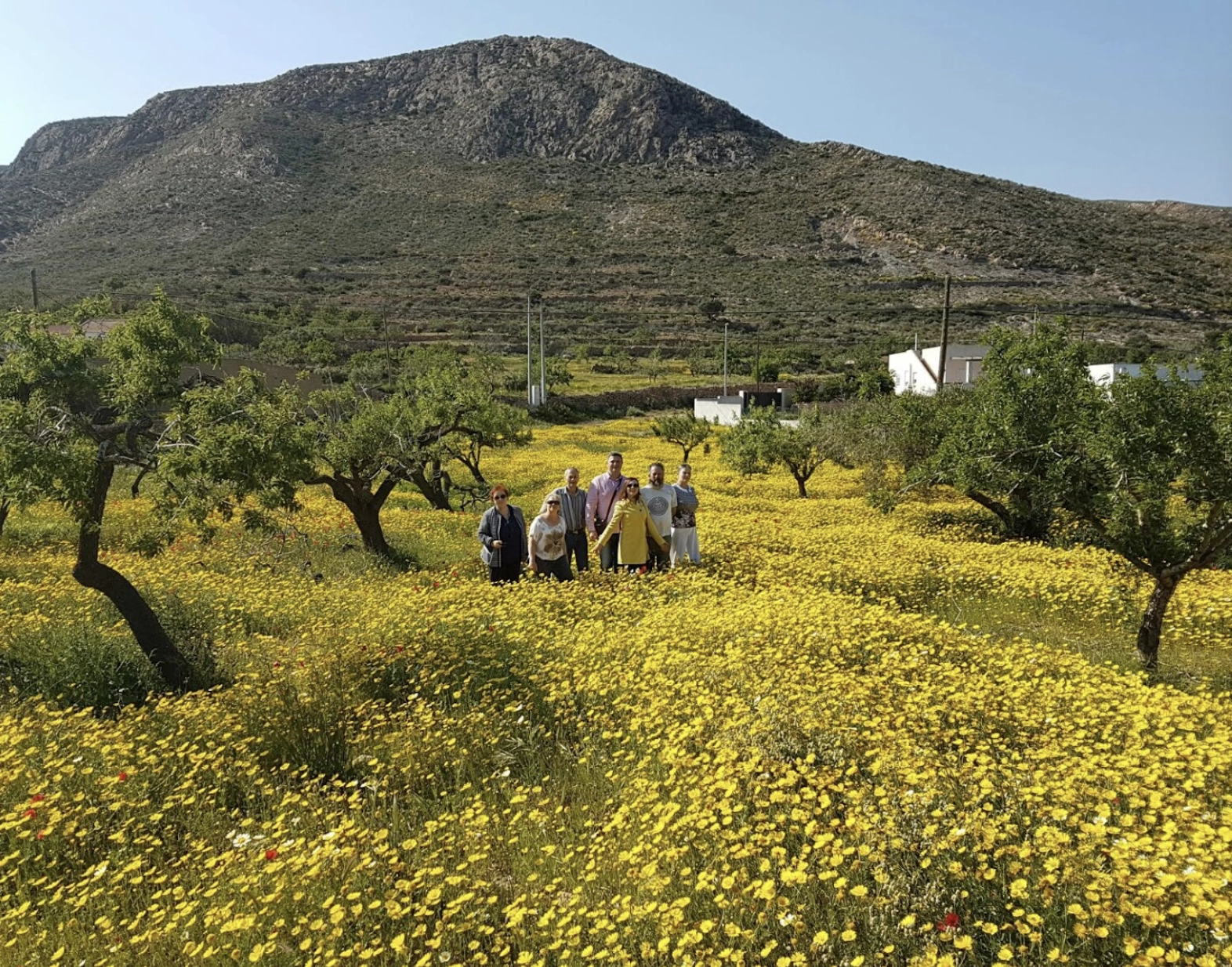 Дядя Ваня туры по Испании