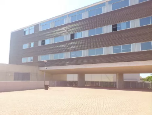 Средняя школа Mediterranean Secondary School в Торревьехе
